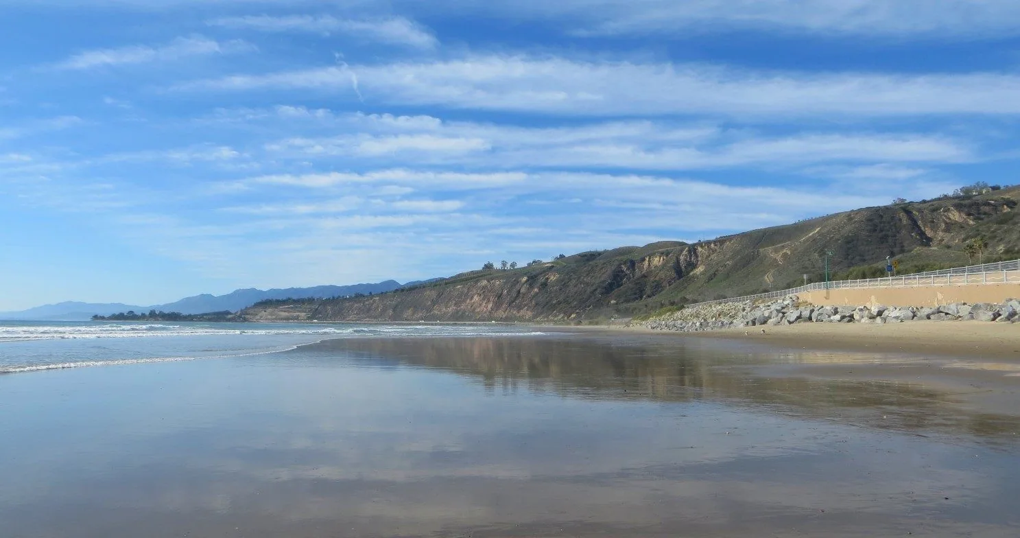 Cover Image for Technical Evolution & Adaptability